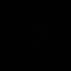 Meet your Posher, Fifi